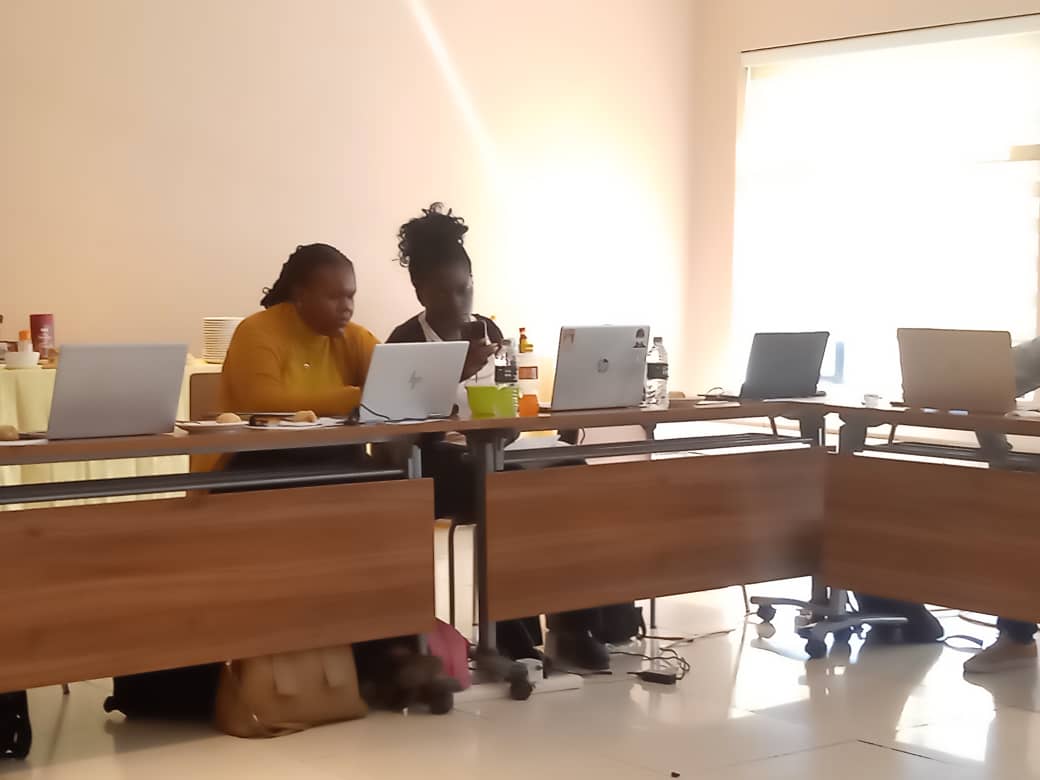 SAPP II trains Government officers in Website