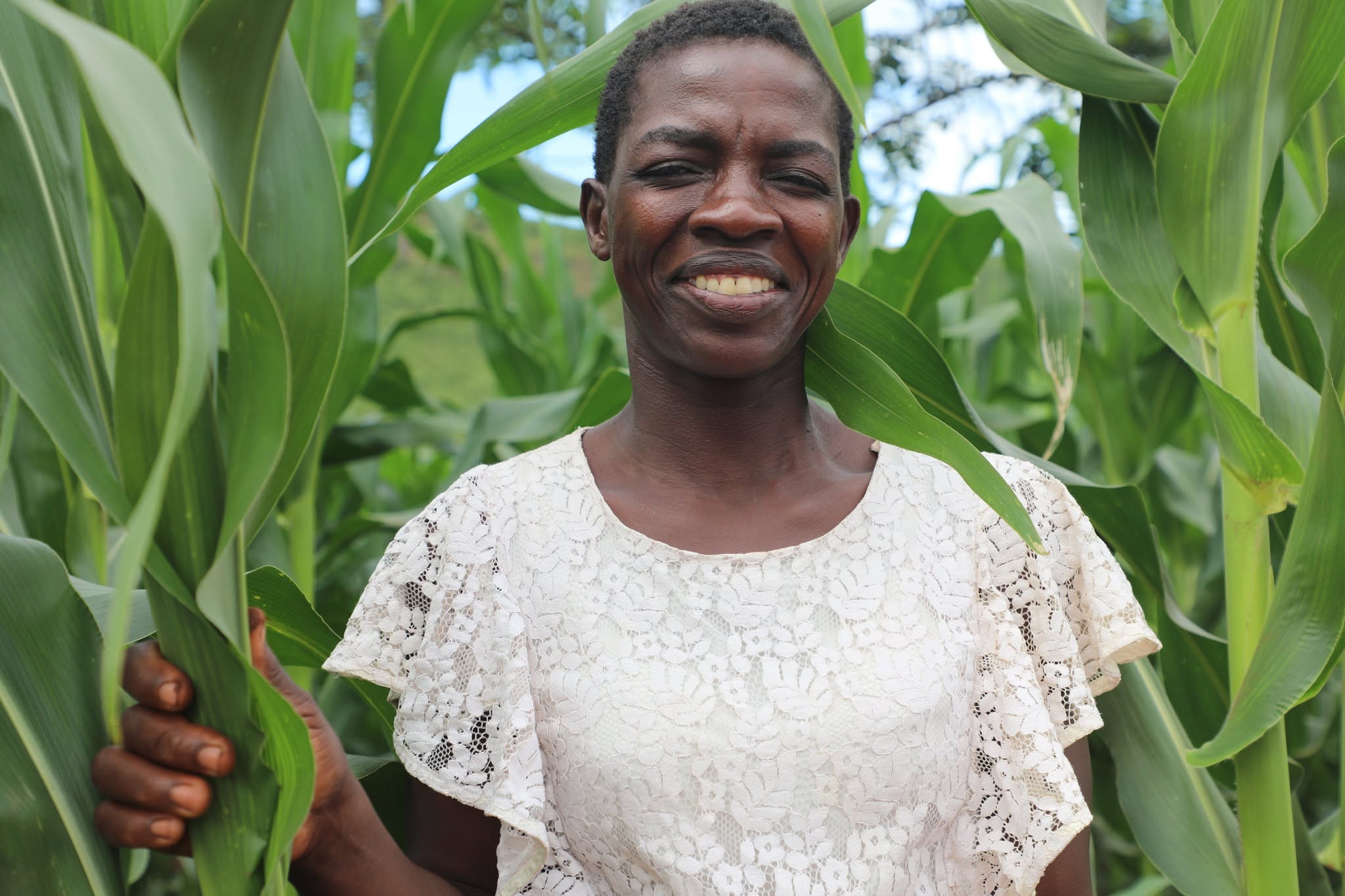 RED BAILS OUT YOUTHFUL FARMERS